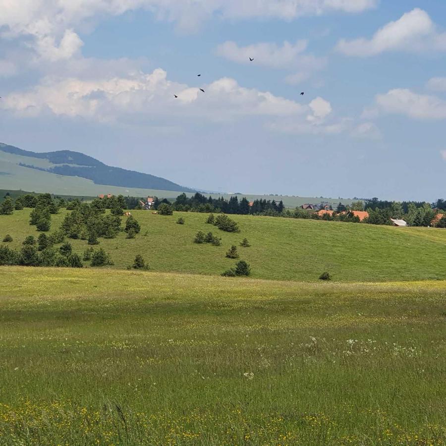 Planinska Kuca Sa Dvoristem Villa Zlatibor Buitenkant foto