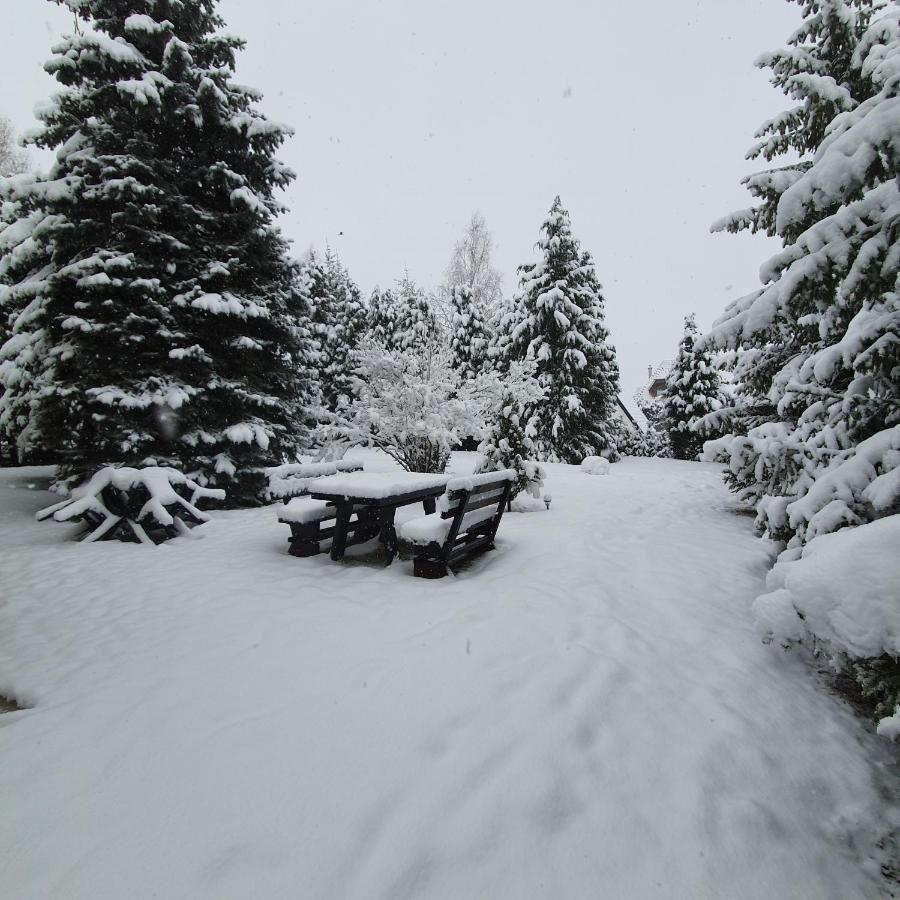 Planinska Kuca Sa Dvoristem Villa Zlatibor Buitenkant foto